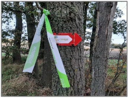 wandeltoch-wegwijzer1