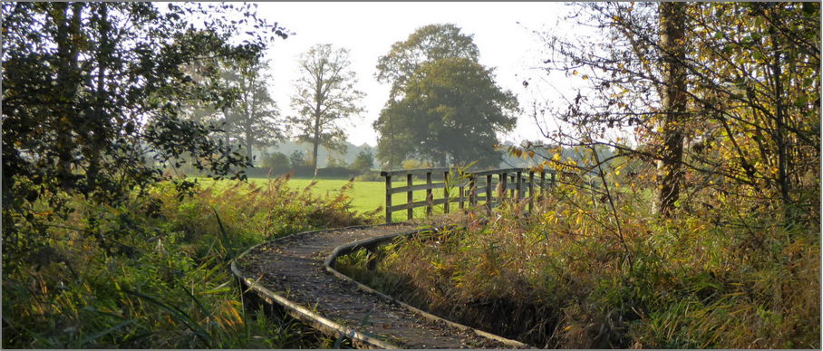 wandeltocht-brug