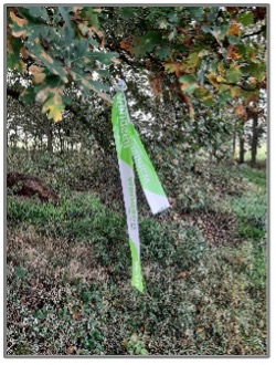 wandeltocht-wegwijzer2